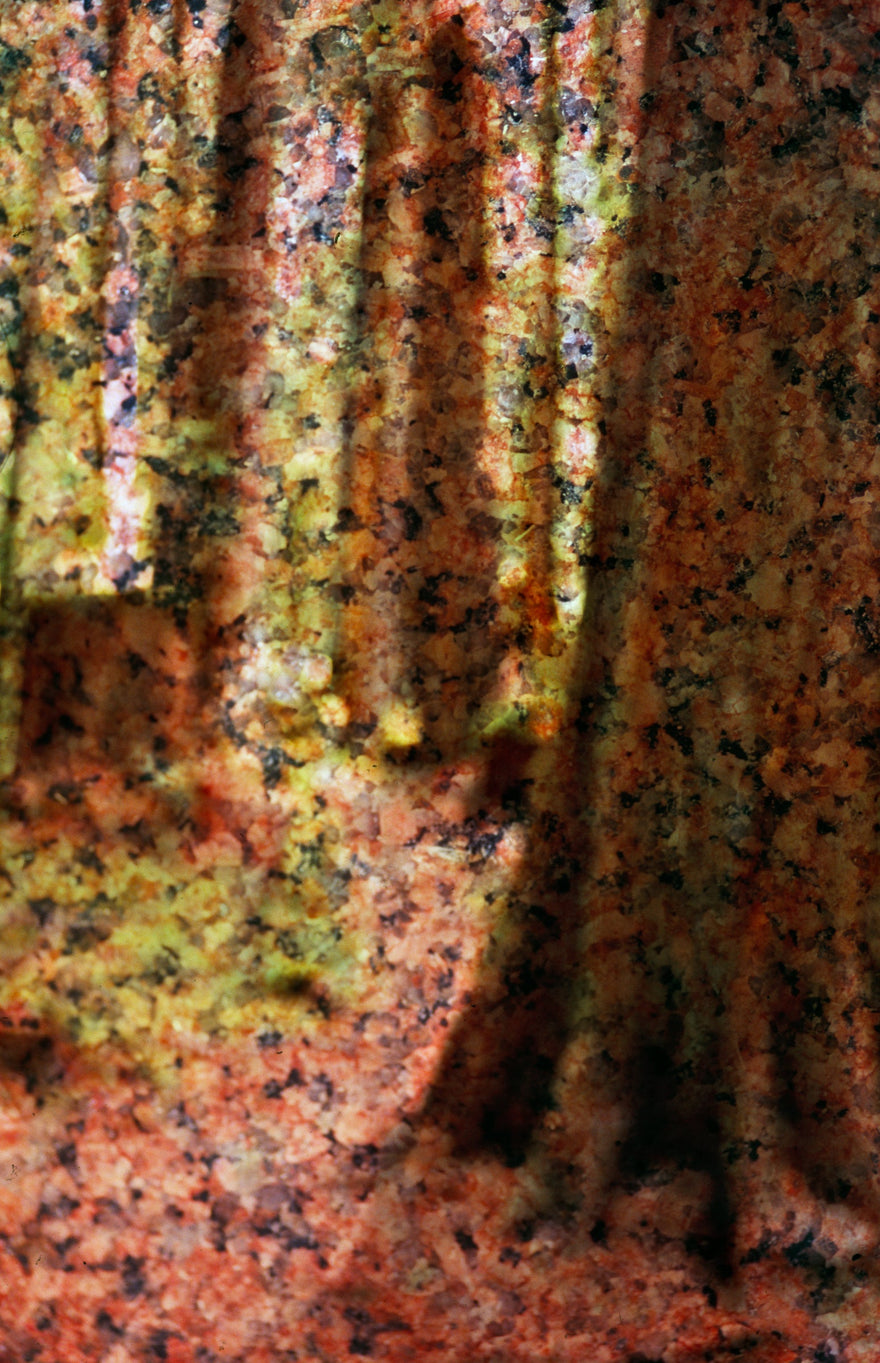 Cedar Grove by Frantisek Strouhal: pale tree trunks over speckled pink and black stone, rust and ochre tones, the whole impressionistic photograph