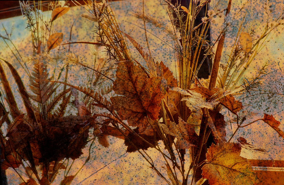 Autumn Leaves by Frantisek Strouhal: dried grasses and curled brown leaves against speckled blue and gold, the whole impressionistic photograph