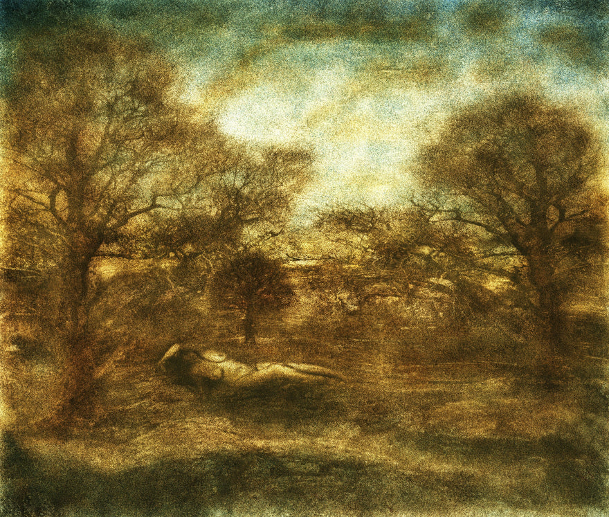 Spellbound in Eden by Frantisek Strouhal: nude figure reclining in a field of bare trees, olive and brown tones, the whole oil print