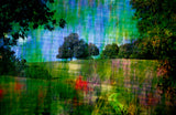 Country Side by Frantisek Strouhal: two trees on a green hillside under a blue and green streaked sky, the whole impressionistic photograph