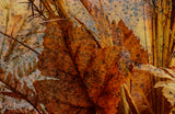 A close view of the middle of the same photograph, where the grain of the film and the layering of the negatives can be seen.