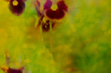 A close view of the lower right of the same photograph, where the grain of the film and the layering of the negatives can be seen.