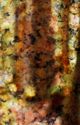 A close view of the middle of the same photograph, where the grain of the film and the layering of the negatives can be seen.