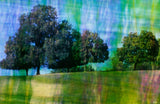 A close view of the middle of the same photograph, where the grain of the film and the layering of the negatives can be seen.