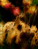 A close view of the middle of the same photograph, where the grain of the film and the layering of the negatives can be seen.