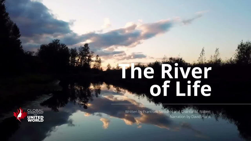 The River of Life