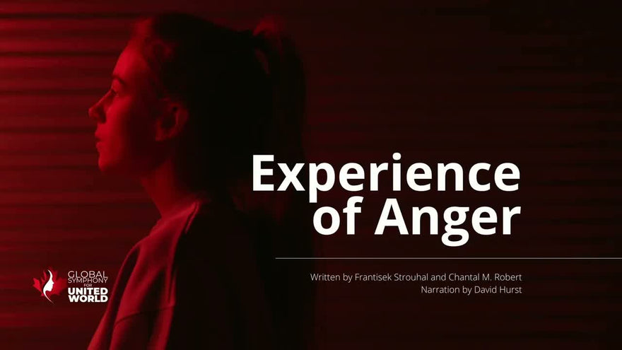 Experience of Anger