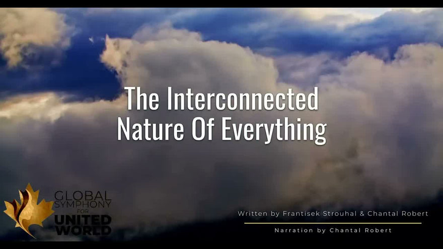 The Interconnected Nature Of Everything